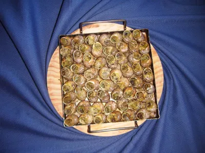 Caracoles a la llauna